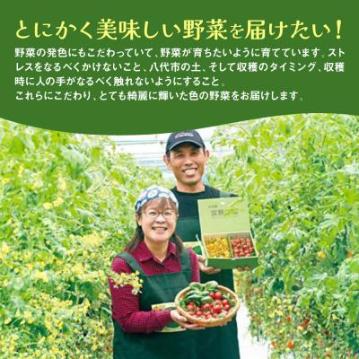 ふるさと納税 八代市 パプリカ ガブリエル 1kg 八代市産 宮島農園 野菜 新鮮野菜 緑黄色野菜_039-4620-D |  | 03