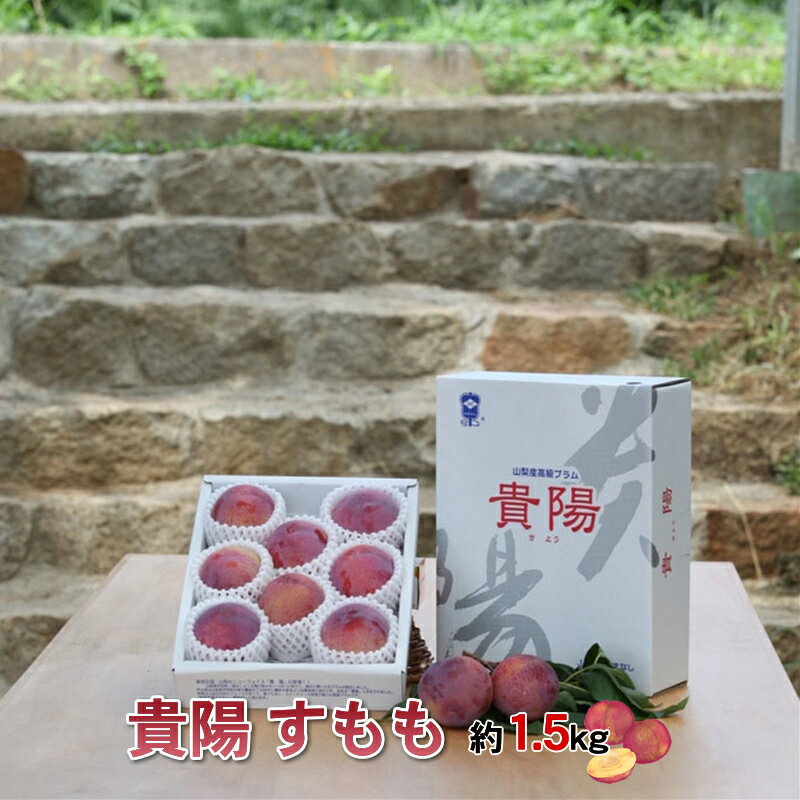 【ふるさと納税】 5-204 厳選! 貴陽すもも 約1.5kg 山梨県南アルプス市産 ふるさと納税 おすすめ 山梨県 南アルプス市 送料無料 ALPBV008