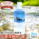 【ふるさと納税】 わさびの駅 大沢里 伊豆 仁科 中硬水 水 ミネラルウオーター 500ml 西伊豆の名水「健」24本セット