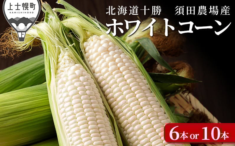 
            北海道産ホワイトコーン 6本 or 10本 上士幌町須田農場 白いスイートコーン とうもろこし 野菜 冷蔵便 ◆2025年08月配送予定 ※オンライン申請対応
          