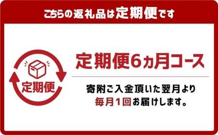【6ヶ月定期便】『倉敷うどん ぶっかけ』ファミリーセット(半生) 12人前×6回 うどん 麺類 麺 半生 半生麺 ぶっかけうどん タレ つゆ 岡山県 倉敷市