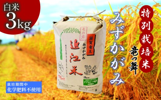 みずかがみ 白米 3kg 2025年産 竜の舞 特別栽培米 国産 安心 安全 近江米 米 お米 白米 お弁当 玄米 産地直送 滋賀県 竜王町 送料無料