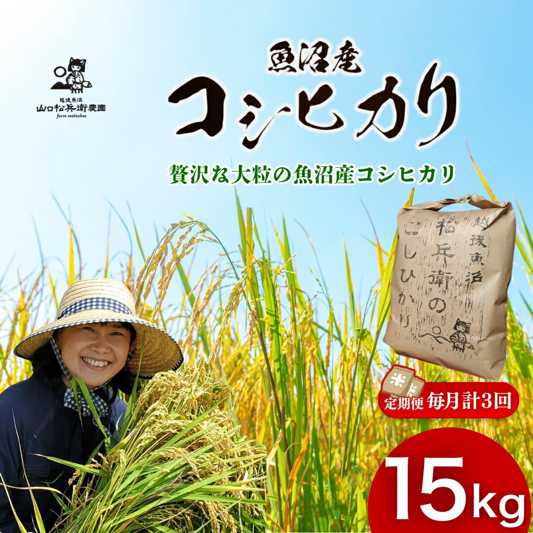 【ふるさと納税】【令和7年産 先行予約】魚沼産コシヒカリ 精米計15kg(5kg×1袋×定期便毎月全3回) 越後魚沼 松兵衛のこしひかり 従来品種 白米 魚沼 3か月連続お届け 山口松兵衛農園 | 新潟県産 コシヒカリ お米 米 ブランド米【0042-0003DB00-01】