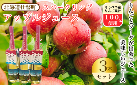 スパークリングアップルジュース3本セット　※そうべつ産りんご100%使用 【 ふるさと納税 人気 おすすめ ランキング 北海道 壮瞥 りんご アップル ジュース スパークリング 果汁 100％ 炭酸 飲料水 飲み物 贈り物 贈物 贈答 ギフト 大容量 詰合せ セット 北海道 壮瞥町 送料無料 】 SBTA014