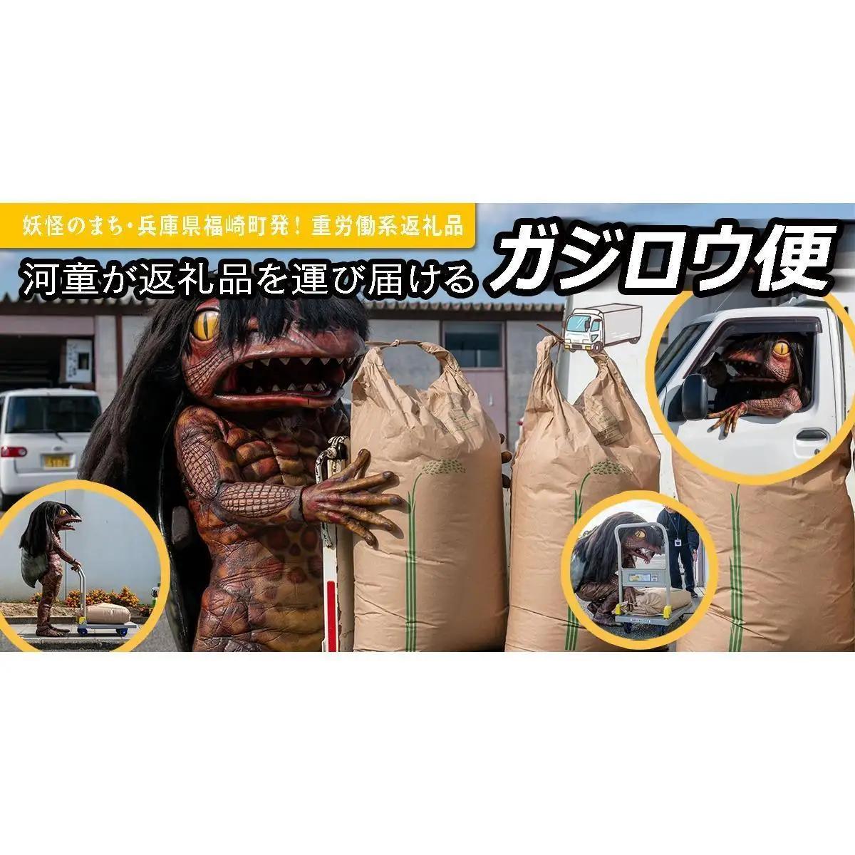 ガジロウ便 【北海道・東北・九州】 備蓄水 10年保存水 490ml×24本 防災 備蓄