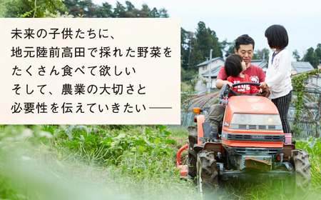 【定期便6ヶ月】訳あり野菜セット 約3～4種類 農家のおすそわけ 旬 野菜セット