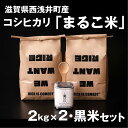 【ふるさと納税】【新米：令和6年産】滋賀県西浅井町産コシヒカリ2kg ×2・黒米 あさむらさき 200g セット 滋賀県長浜市/ONE SLASH 株式会社 [AQCZ011] 米 お米 白米 黒米 コシヒカリ※着日指定不可