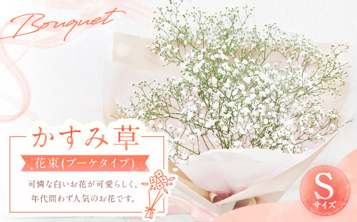 【指定日必須】かすみ草花束 Sサイズ 花 花束 かすみ草 フラワーアレンジメント ラッピングカラー メッセージカード 対応可能 お花 花ギフト ブーケ ドライフラワー フラワーギフト ギフト