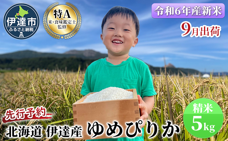 生産者 直送 【令和6年度】 北海道 伊達産 ゆめぴりか 5kg 精米