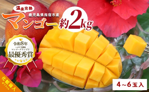 
                  【2027年発送】南国いぶすきの温泉熱で育てた甘くて上品な温泉完熟マンゴー約2kg4～6個(T&P/IB057-002) マンゴー フルーツ 果物 旬 夏 指宿 いぶすき 鹿児島  完熟  お供え 御供 ギフト 贈り物 プレゼント グルメ 南国 南国フルーツ 果実 マンゴー 太陽 国産 鹿児島県産 果汁
                