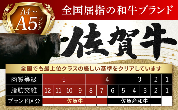 【12回定期便】 艶さし！ 佐賀牛 焼肉用 計6kg （500g×12回）  ※バラ・肩ロース・モモのいずれの部位※ 吉野ヶ里町 [FDB035]