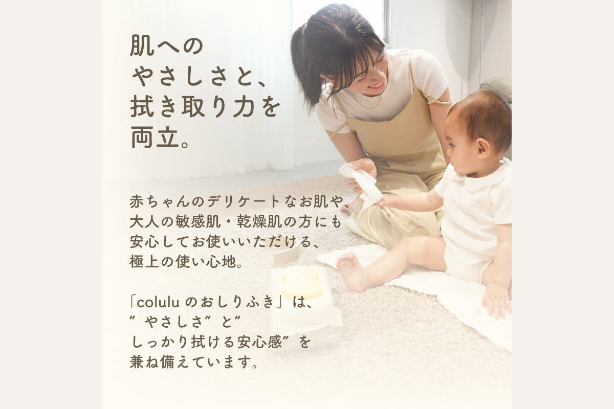 おしり拭き 80枚入り 12個セット×２個セット（3283）