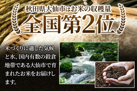 新米 米 令和7年産 米どころ 秋田県大仙市産 ブレンド米【無洗米】10kg（5kg×2袋）