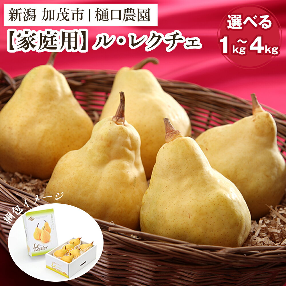 【ふるさと納税】【2025年】【家庭用】西洋梨 ル・レクチェ 選べる「1kg」or「2kg」or「3kg」or「4kg」《順次出荷》 果物 梨 洋梨 西洋梨 フルーツ 訳あり 冬の味覚 デザート 産地直送 加茂市 樋口農園