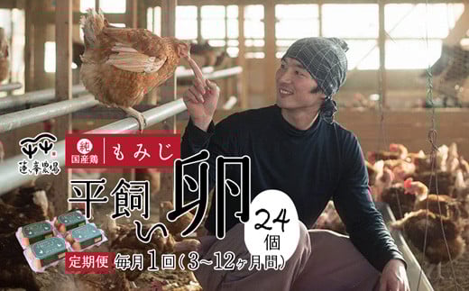 
            【定期便・選べる月数】京都奥丹波 純国産鶏もみじ 平飼いたまご 24個×3～12ヶ月 【 卵定期便 たまご定期便 平飼い卵 非遺伝子組み換え 自家配合 たまご タマゴ 平飼い 卵 国産 純国産鶏 もみじの平飼い卵 京都奥丹波 綾部 京都 蓮ヶ峯農場 】
          