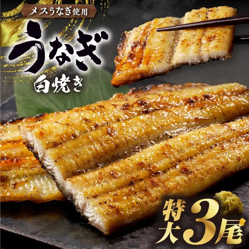 【TVで紹介！】うなぎ 白焼き 特大3尾 525ｇ以上 鰻 _74-380