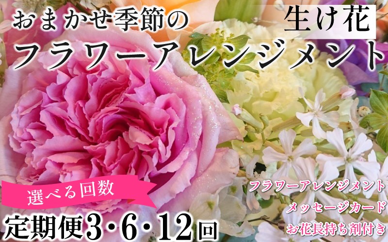
            季節の 花束 フラワーアレンジメント 定期便 3回 6回 12回 オリジナル手作りカード付 生花 こだわりギフト プレゼント 母の日 父の日 敬老の日 花束 フラワーガーデンミモザ  ※北海道・東北・沖縄を含む離島への配送不可 フラワーガーデンミモザ
          