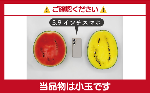 【2026年6～7月出荷】【JAむなかた直送】小玉スイカ（赤・黄）2玉（計4～5kg）[H2272]