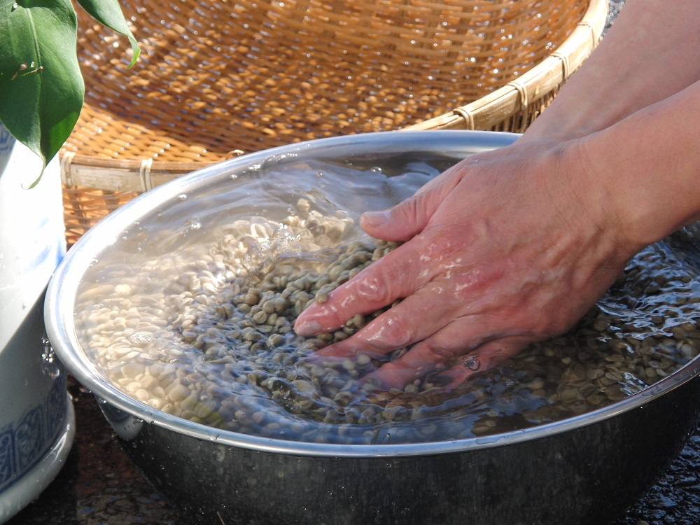 【訳あり】フェアトレード ブレンドコーヒー 富士山の湧き水で磨いた スペシャルティコーヒー 豆 800g【ガイアの夜明け】 豆　800g
