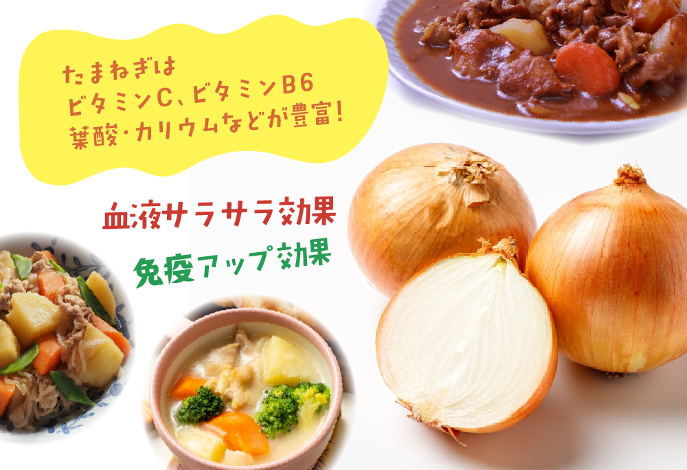 「有機JAS」南国オニオン 10kg 10kg