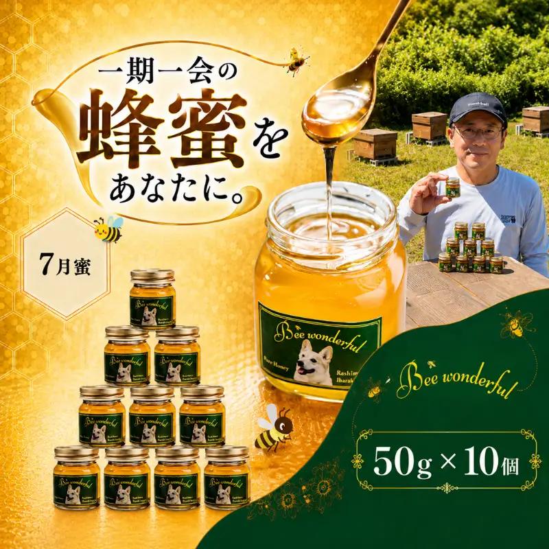 はちみつ 百花蜜 7月蜜 50g×10個 非加熱 産地直送 国産 一期一会 はちみつ 鹿嶋市