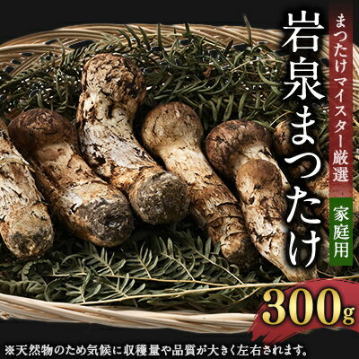【ふるさと納税】【自家用】岩泉まつたけ 300g【配送不可地域：離島】【1421549】