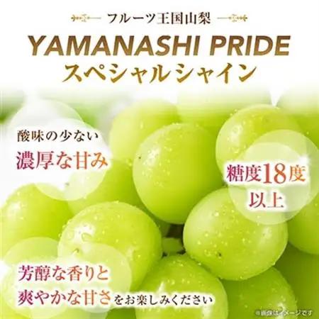 2026年発送 フルーツ王国山梨産厳選 シャインマスカット 1房(約500-600g)【配送不可地域：離島】【1501766】