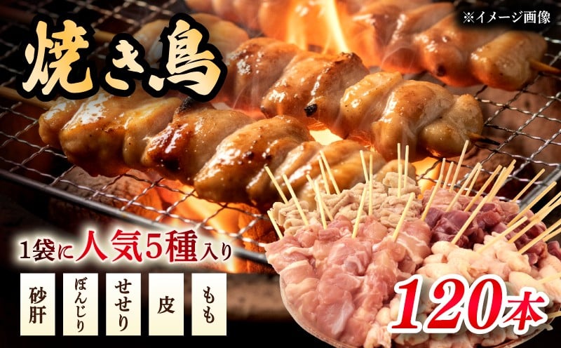 
            焼き鳥 5種盛 120本 年内発送 もも 皮 せせり 砂肝 ぼんじり 10本×12袋 小分け 大容量 やきとり 焼鳥 鶏肉 とりにく とり 鳥 鶏 串 串焼き おつまみ あて ビール BBQ 焼き鳥セット おいしい バーベキュー アウトドア 冷凍 サトウフーズ 新潟県 新発田市 satofoods007
          