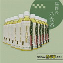 【ふるさと納税】福岡の 八女茶 ペットボトル 500ml×24本入り 八女茶 計24本 greentea 500ml 水分補給 お茶 ソフトドリンク 飲料 飲み物 備蓄 送料無料 2K1