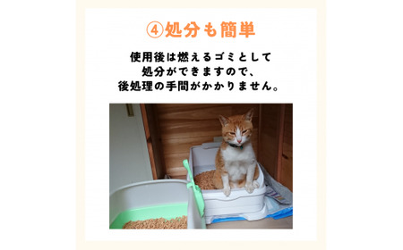 【6か月定期便】森のねこトイレ（2.5L×4袋入り） / ねこ トイレ ネコトイレ 猫 トイレ ペットトイレ 猫砂 システムトイレ用 国産 ヒノキ 檜 紀州ひのき 紀州ヒノキ 抗菌 消臭 防カビ 防虫