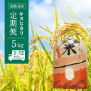 【ふるさと納税】淡路島産　キヌヒカリ　5kg　定期便（3回・6回・12回）