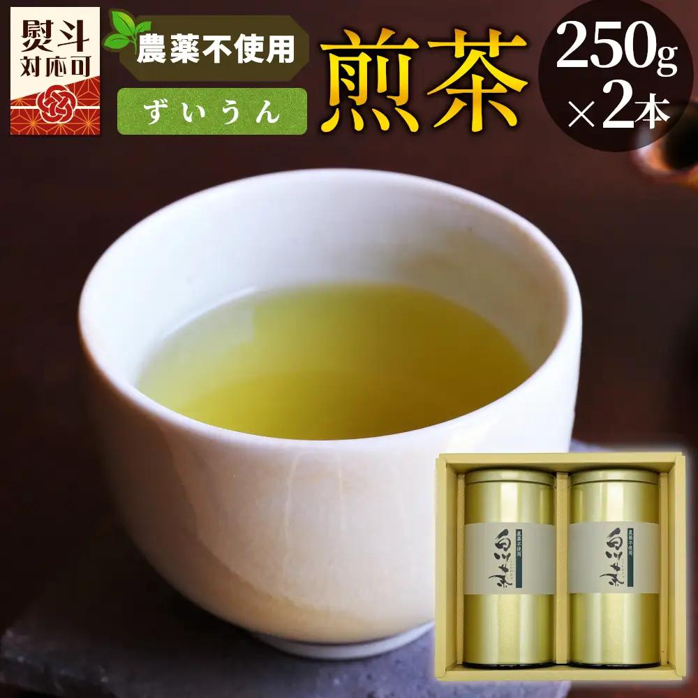 農薬不使用！煎茶 ギフト NO.2 (ずいうん250g×2 計500g) 常磐園 ずいうん 日本茶 緑茶 茶葉 お茶 岐阜県 東白川村 お取り寄せ 贈答用 プレゼント 母の日