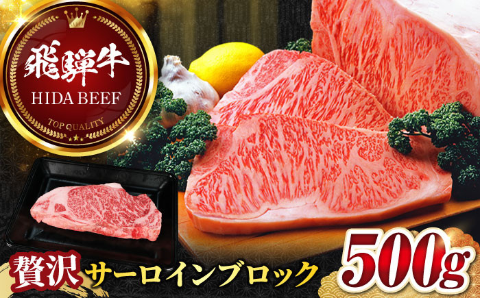 
            【飛騨牛】サーロインブロック(500g) 和牛 BBQ ローストビーフ 岐阜市/丸福商店 [ANBO009]
          