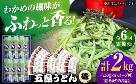 【全6回定期便】五島うどんギフト（磯8袋入り）+あごだし24袋 /五島あすなろ会 うまか食品 [PAS047] 五島うどん 定期便 五島うどん 定期便 五島うどん 定期便