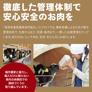 【1513】鳥取牛サンカクバラ焼肉用 600g(冷凍)