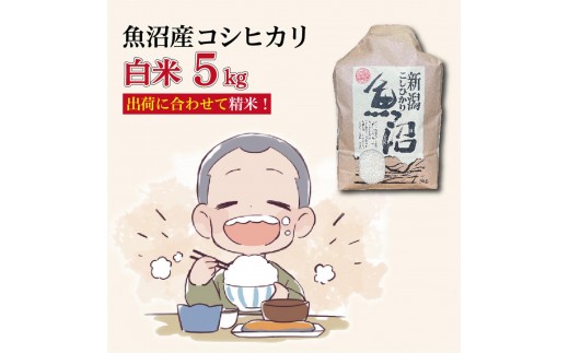 
                  令和８年産新米　魚沼産コシヒカリ 精米５kg
                