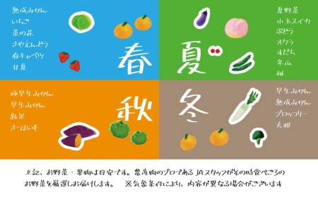 阿波かつうら農産物　満足セット