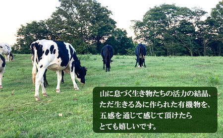 ハンバーグ 手作り 牛肉 惣菜 ハンバーグ【5個入】
