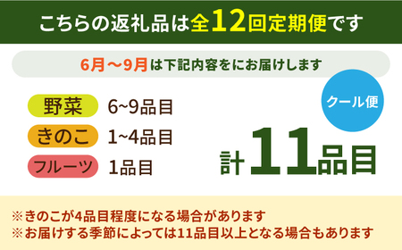【12回定期便】野菜定期便15品目以上 [SCZ019] 