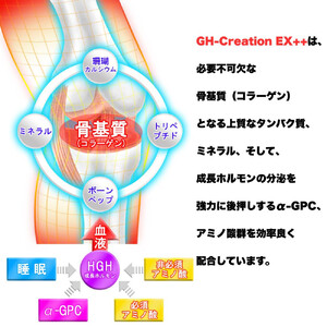 3本セット：GH-Creation EX++ ジーエイチ クリエーション EX プラス 300mg 270粒