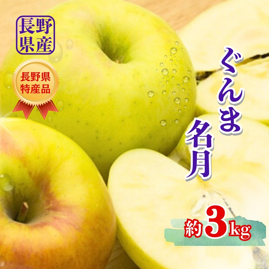 【2026年先行予約】ぐんま名月 約3kg | 林檎 リンゴ アップル 果物 くだもの フルーツ ぐんまめいげつ 群馬名月 3キロ お取り寄せ 産地直送 長野県産 信州林檎 信州りんご 信州 長野 千曲市