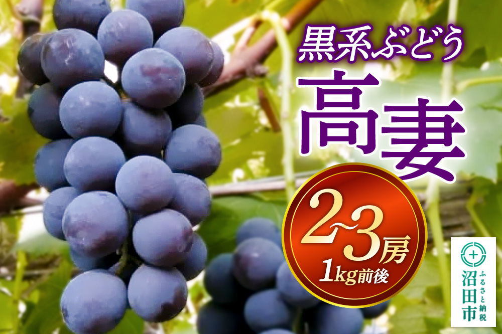 沼田市産 ぶどう 高妻 2〜3房（1kg前後）