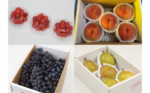 08-03-030　果樹園物語(歩兵プラン)全4回