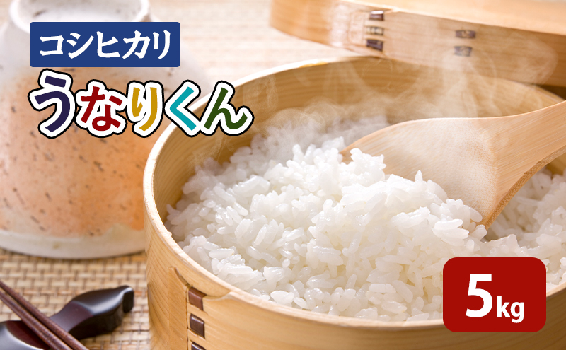 【令和6年度産】「コシヒカリ」うなりくん 5kg 白米 精米 米 こしひかり 成田市 千葉県