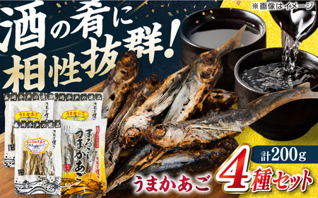 【酒の肴に最適！】うまかあご 4種セット 計200g 平戸市/ 森崎水産[KAD308]