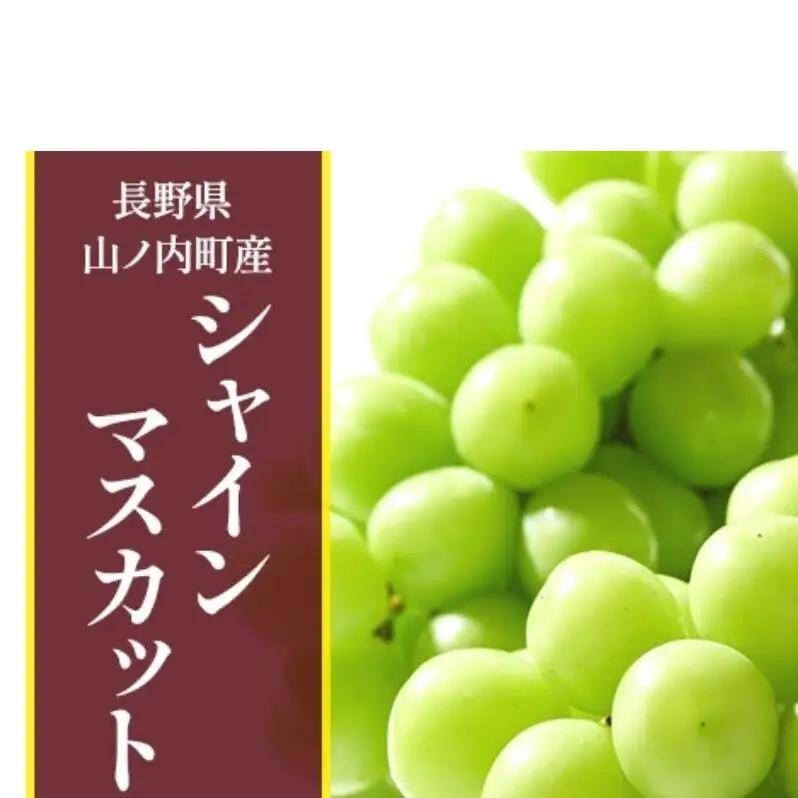 シャインマスカット 2房 1kg ぶどう シャインマスカット