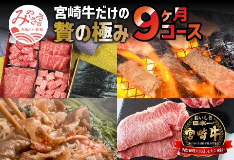 定期便 宮崎牛 食べ比べ 贅の極み 9ヶ月コース |牛肉 牛 肉 サーロイン ステーキ リブロース モモ スライス ウデ バラ 焼肉 ロース ヒレ ステーキ クラシタスライス リブローススライス 赤身