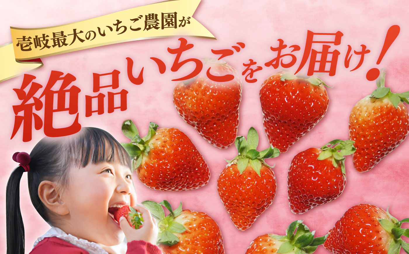 【訳あり/簡易包装】ゆめのか 約250g × 2パック 《壱岐市》【Strawberry Gang】[JEM006] セット いちご イチゴ 苺 果物 フルーツ スムージー 訳あり 8000 8000
