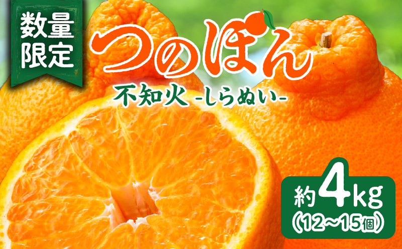 先行予約«数量限定»不知火(つのぽん)約4kg フルーツ 果物 柑橘 みかん 国産_T002-001