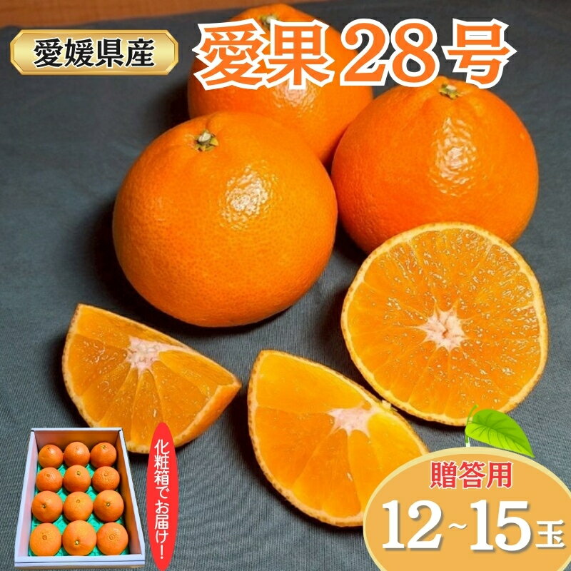 【ふるさと納税】みかん 愛果28号 贈答用 L～2L 12～15玉 紅まどんなと同一品種【2026年12月順次発送】先行予約 数量限定 柑橘 人気 伊予侍ファーム 愛媛 伊予市｜C138
